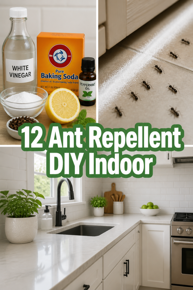 🐜 12 Ant Repellent DIY Indoor